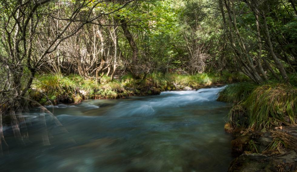 Lousios,River,Arkadia,Peloponnese,Greece