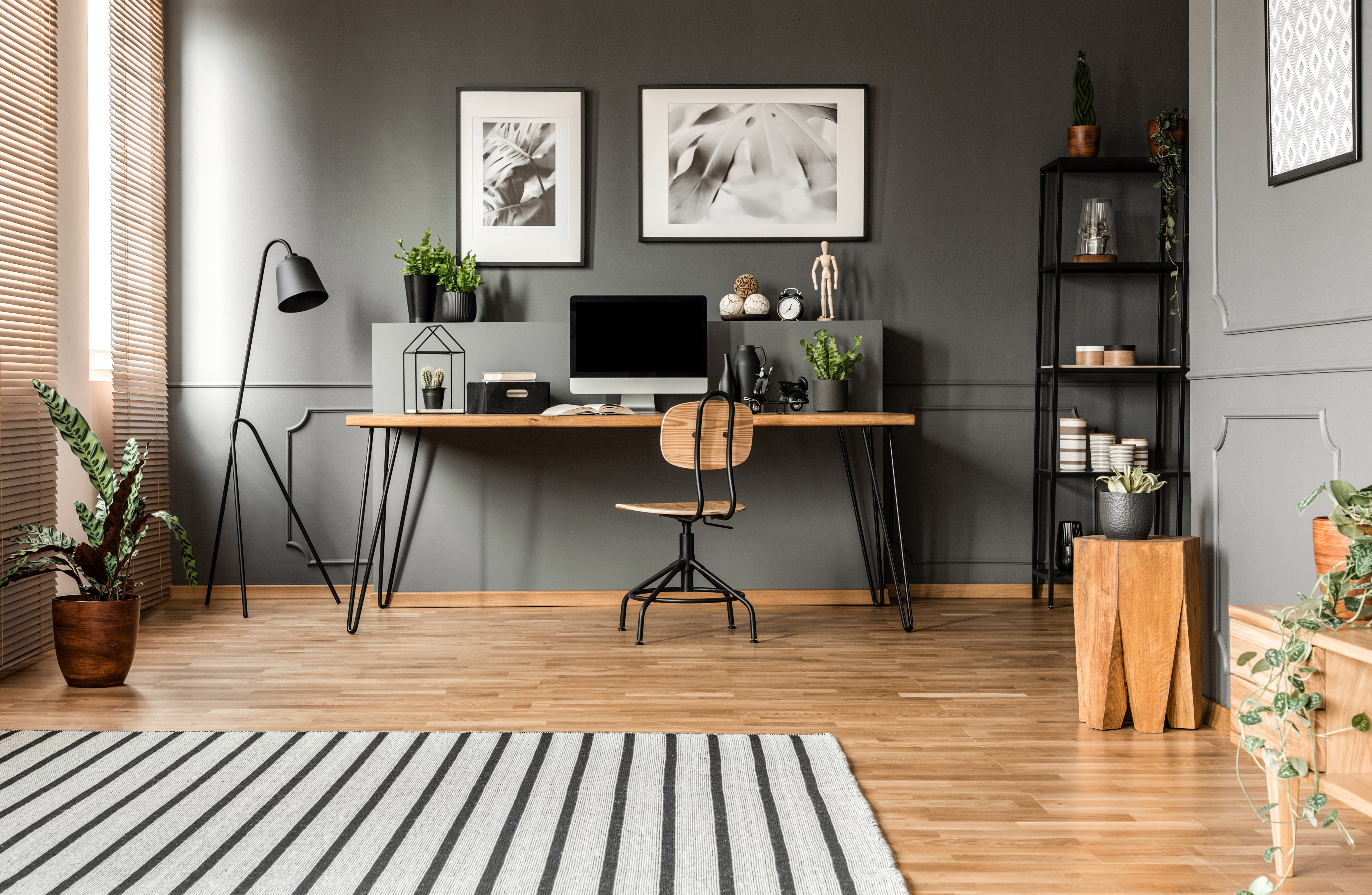 Black Friday office