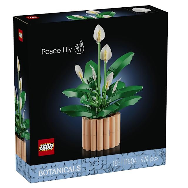 LEGO 11504 Botanicals 11504