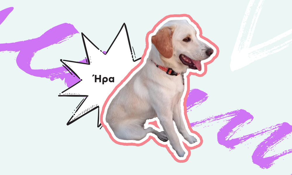 hera