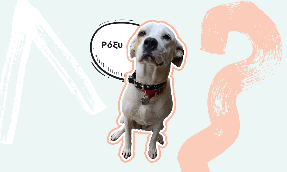 roxy