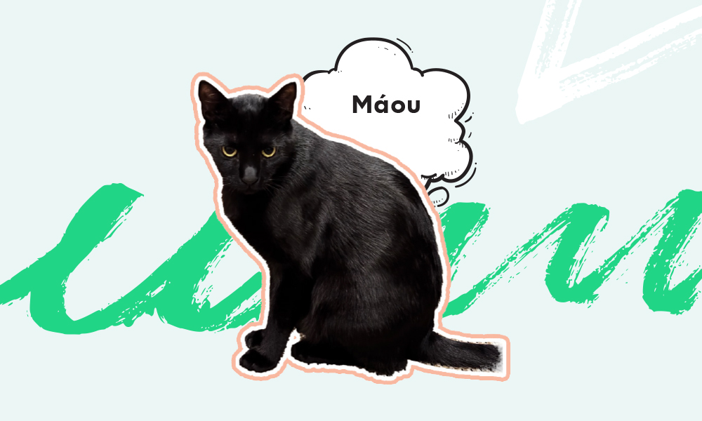 maou