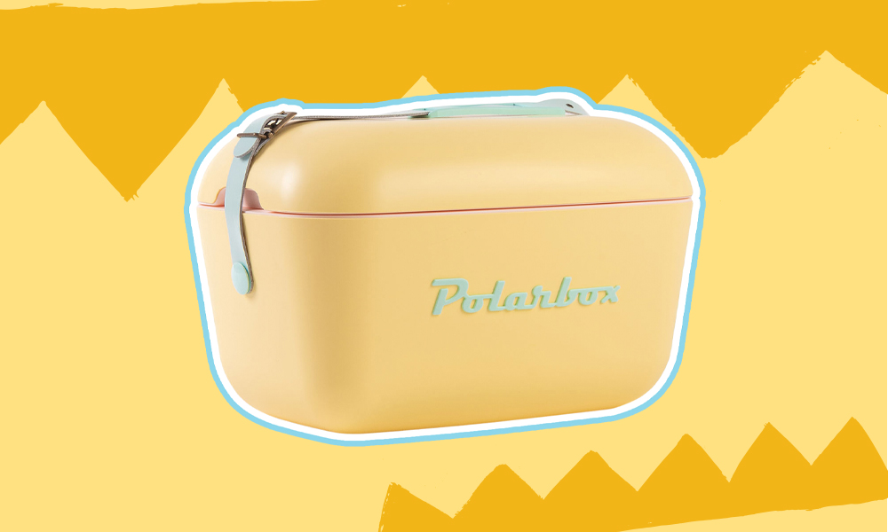Φορητό Ψυγείο Polarbox POP 20L