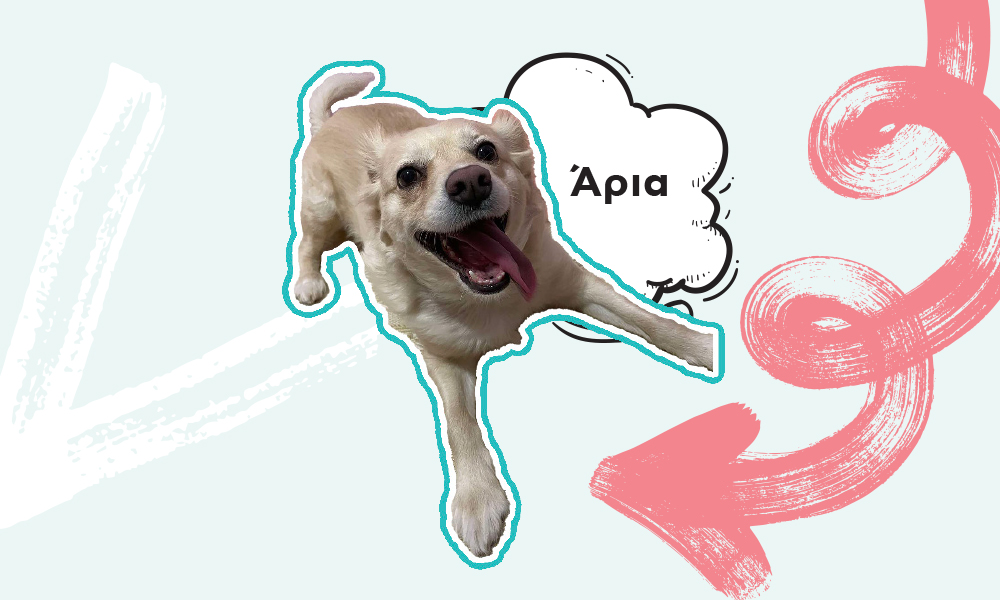 aria