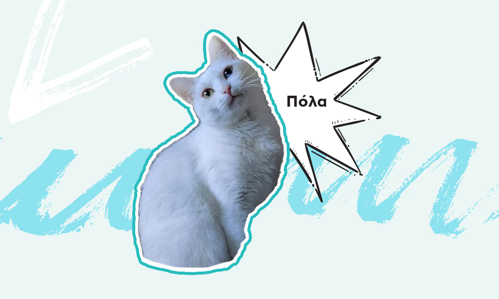pola