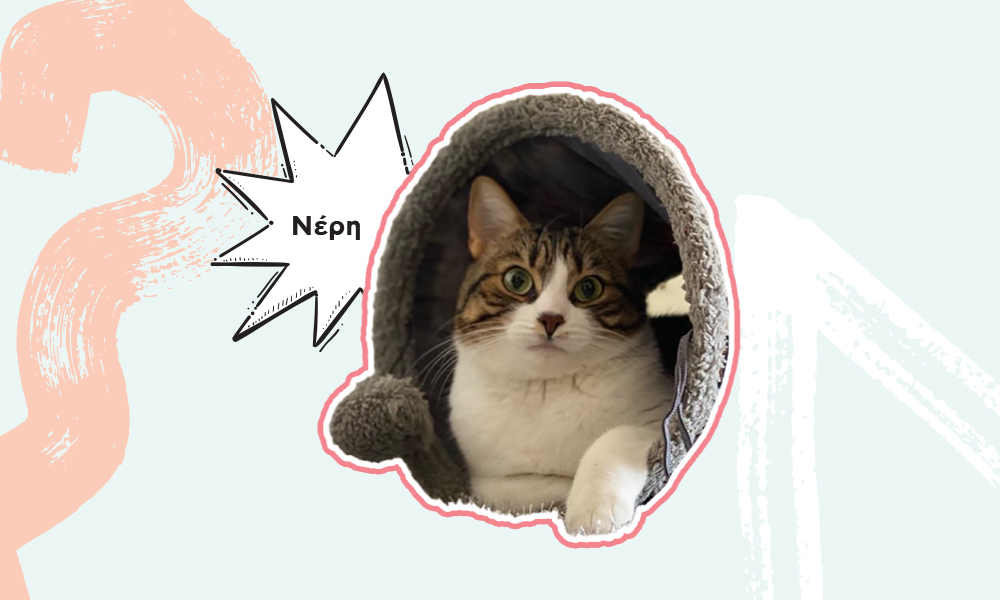 neri