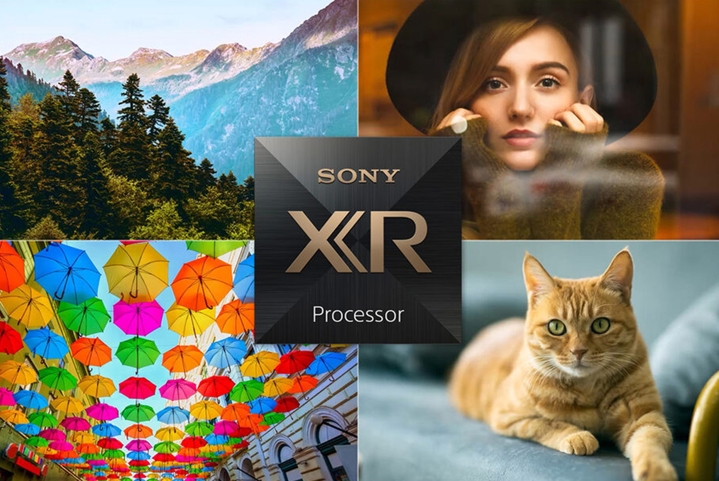 XR