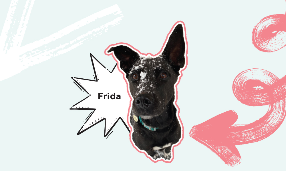 frida