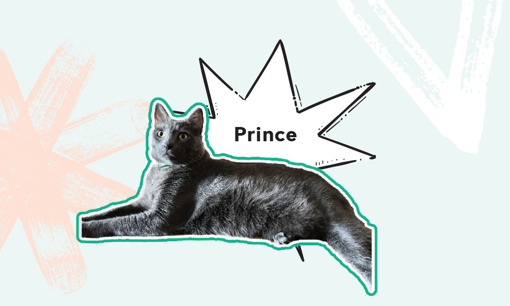 prince