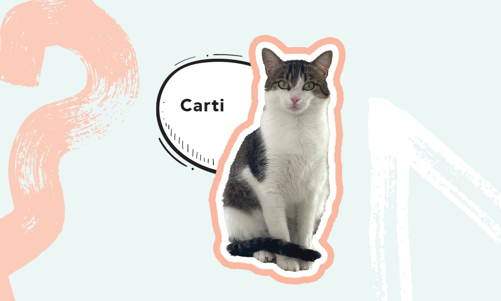 carti