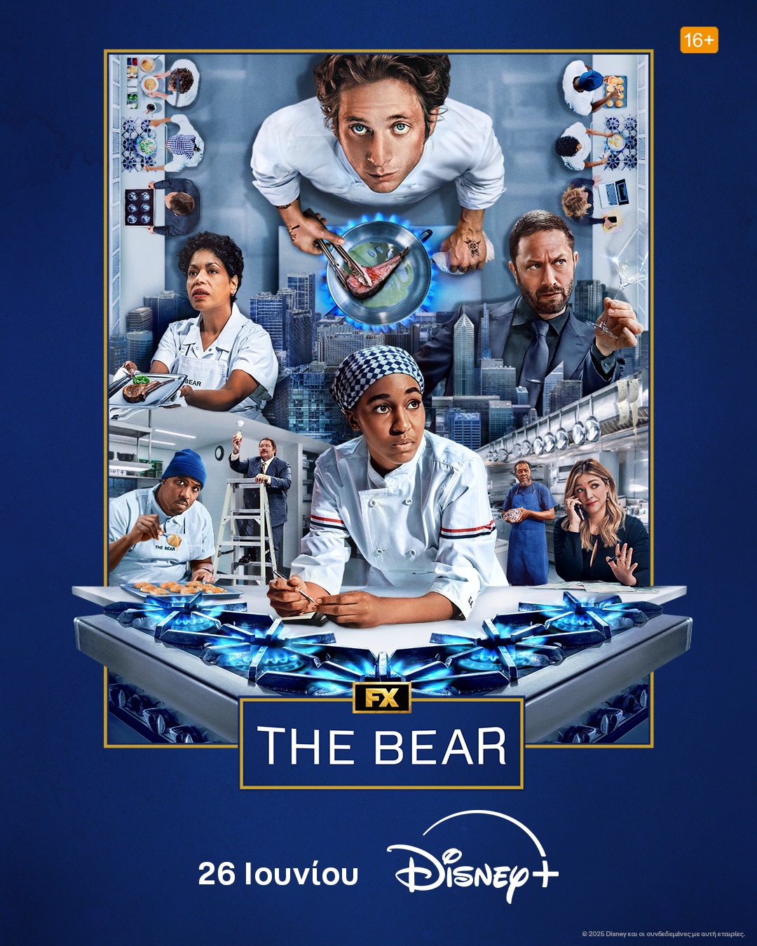 the bear