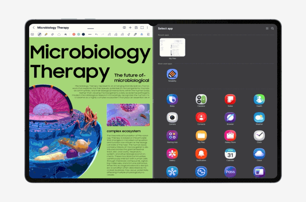 Samsung Galaxy Tab S12 Series