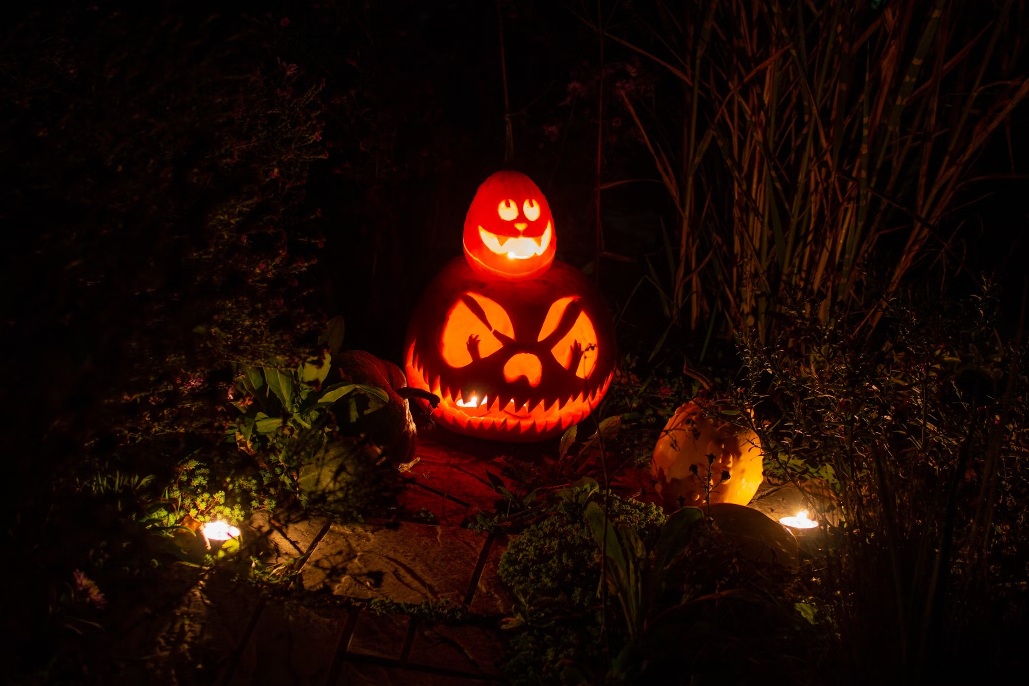 JACK-o-LATERN