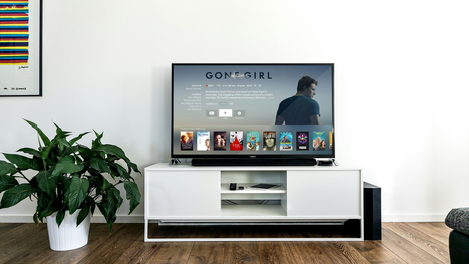 BF 2024 TV