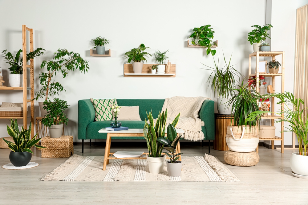 green living