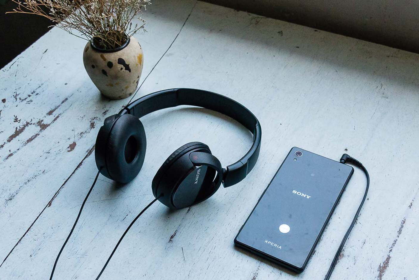 Wired Headphones