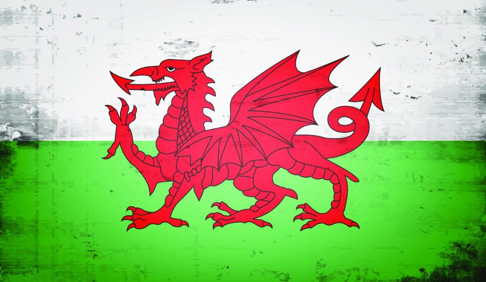 Euro2020-Wales-Plaisio-Blog-1