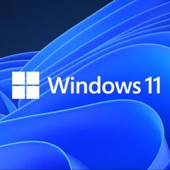 Windows 11 24H2 