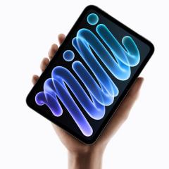 iPad Mini! 