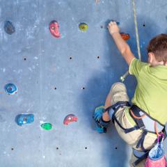 Little,Boy,Climbing,A,Rock,Wall,Indoor