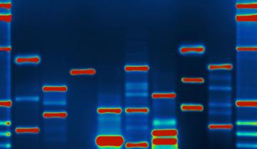malware-inside-DNA